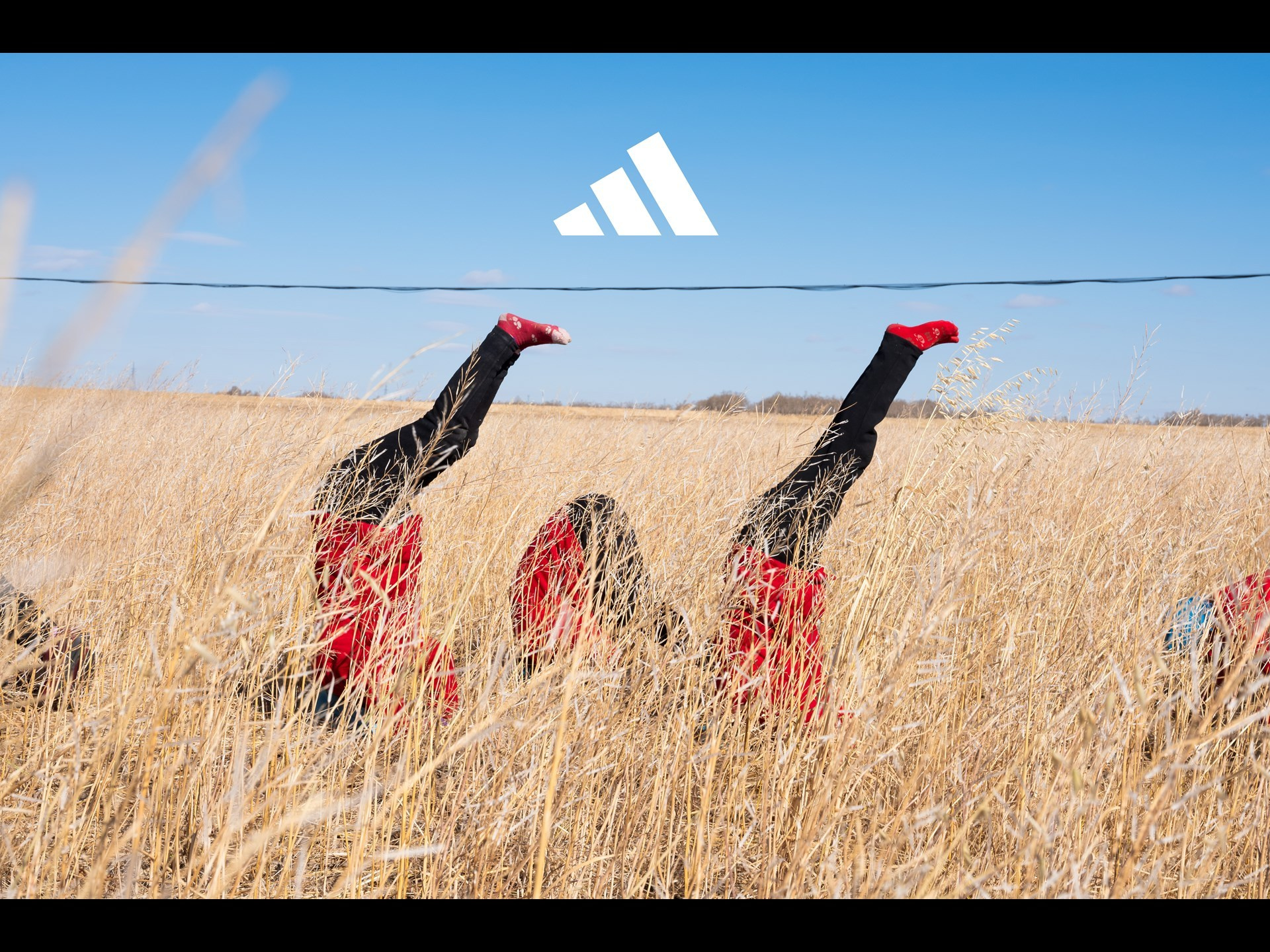 Спортивный фотограф