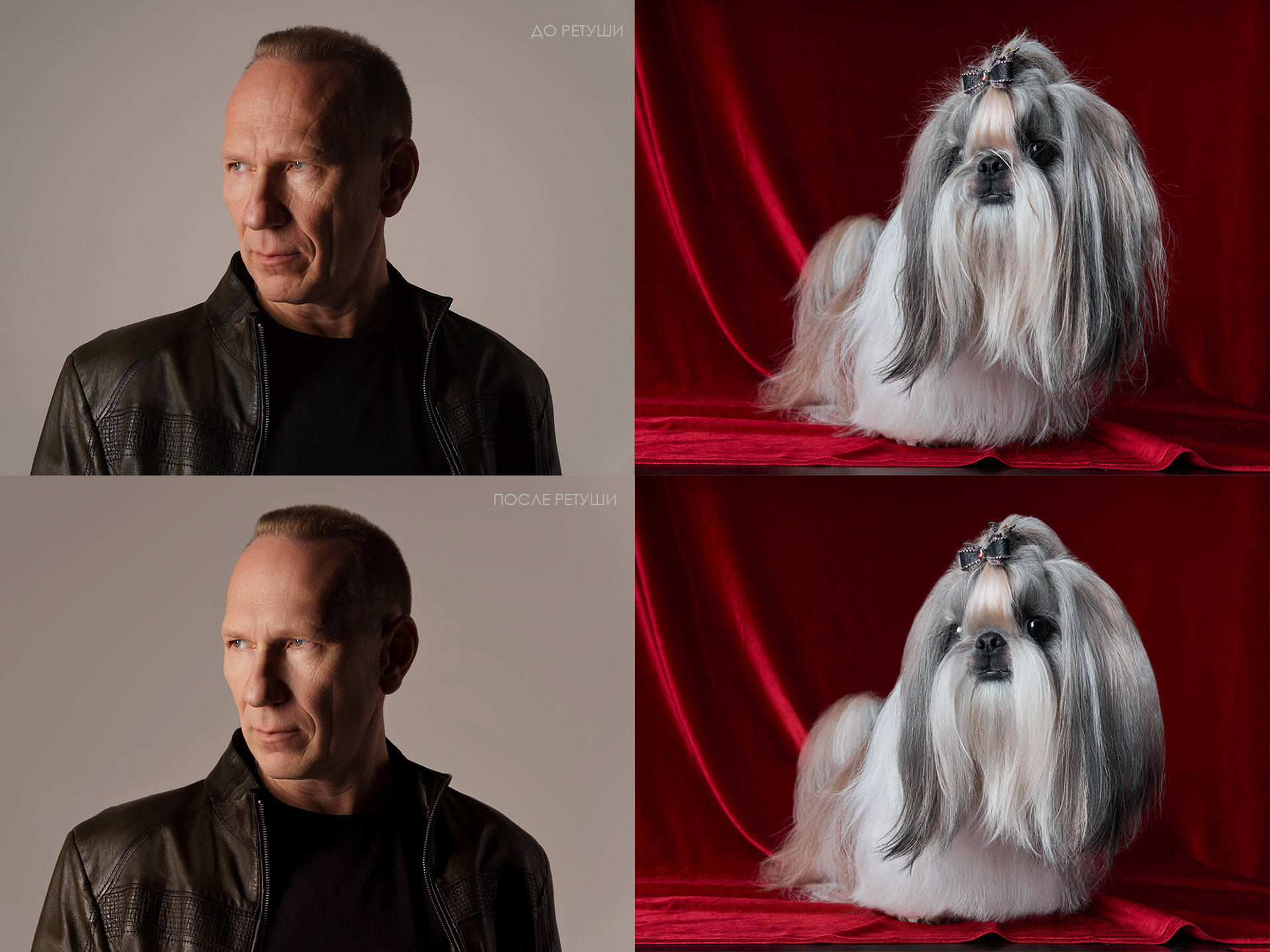 Бренд фотографа. Фотограф людей и животных в Санкт-Петербурге Марина Бурмистрова