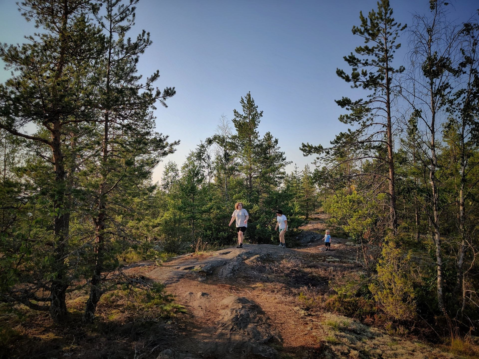 Люди идут по скалистой тропе среди сосен Карелии
