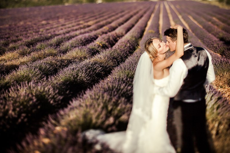 Цветовой круг Иттена для фотографа. Обучающий блог фотографа Jay Lay | Фотограф Казань