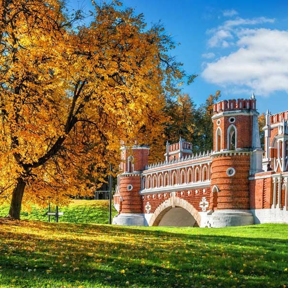 Красивая локация для семейной фотосессии