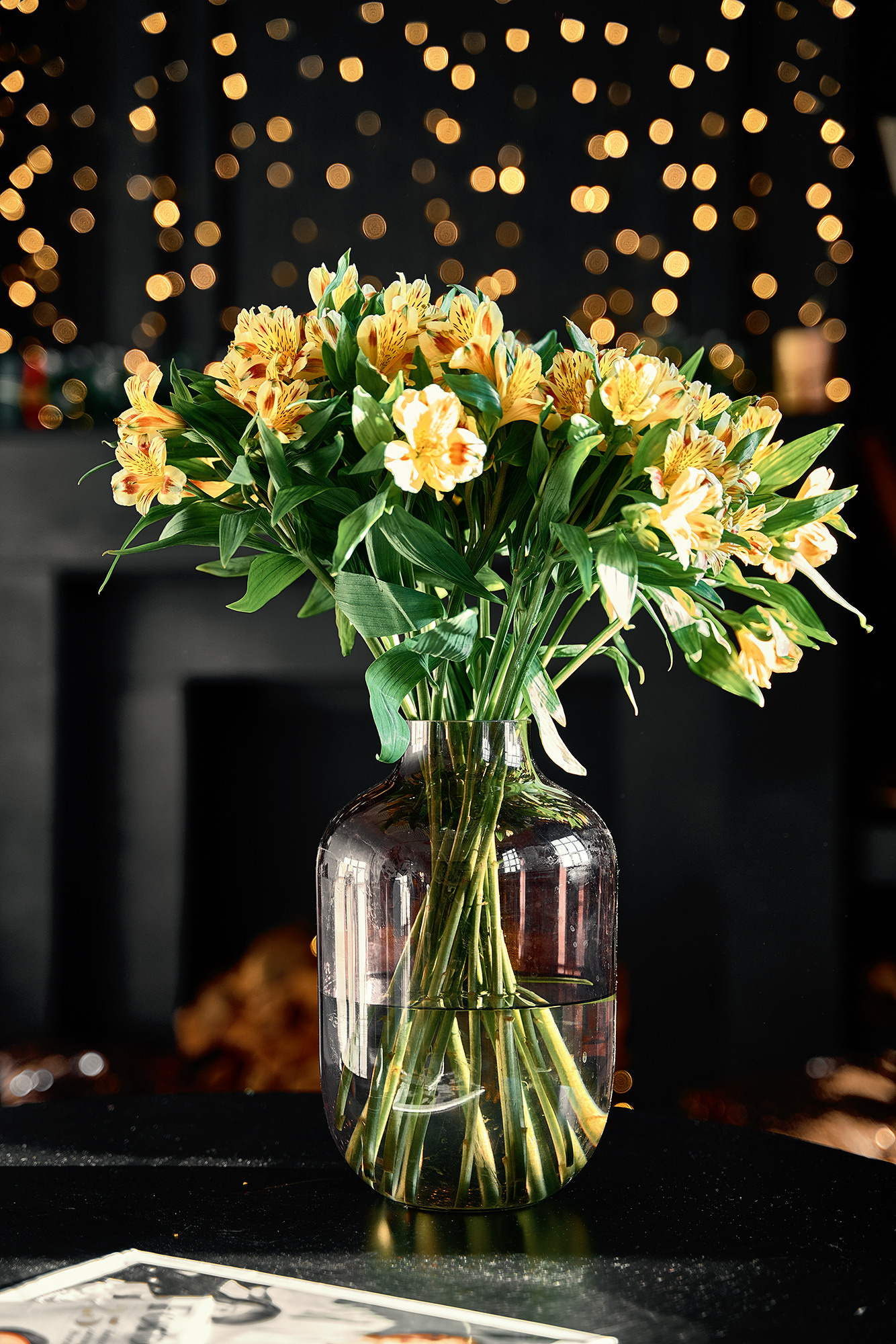 Agadora_photo — Фотограф в Москве и Московской области