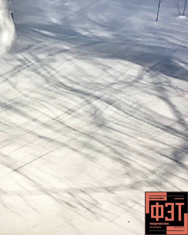 Альбом 18.01.26 проект ФЭТ