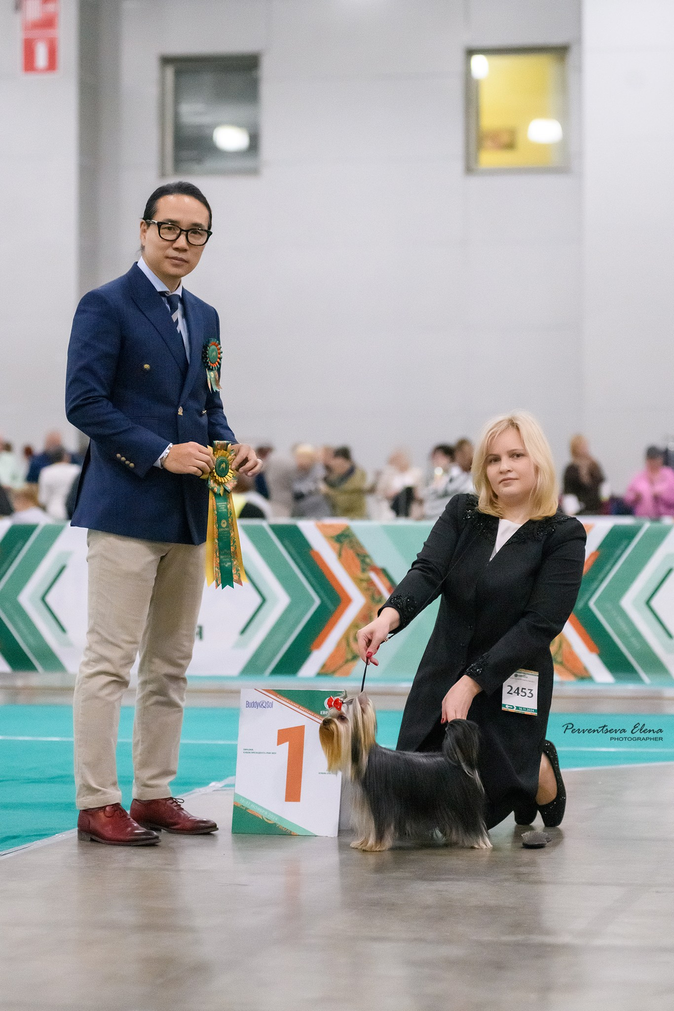 16.11.2024«ЕВРАЗИЯ. Кубок президента РКФ 2024». Йоркширский терьер — питомник йоркширских терьеров Vole'T Shou