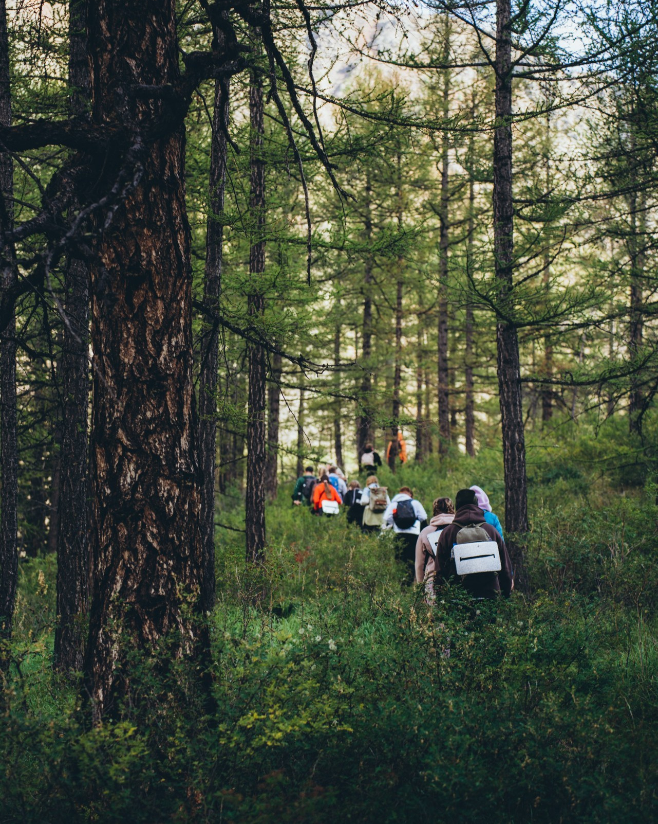 Качественная фотосъемка в Москве — портреты, love-story, корпоративы и travel-фотографии. Индивидуальный стиль и внимание к деталям. Профессиональный фотограф с отзывами и портфолио.