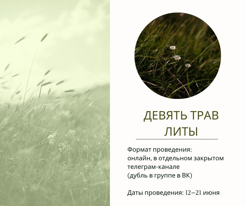 Девять трав Литы. Портретный фотограф в Москве и Геленджике Кирилл Вахитов