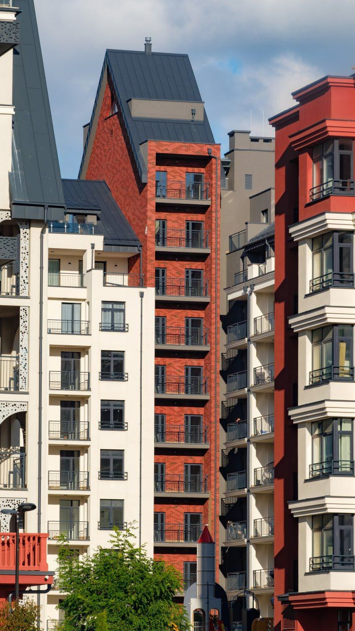 Анастасия Пушкарева Rauschen