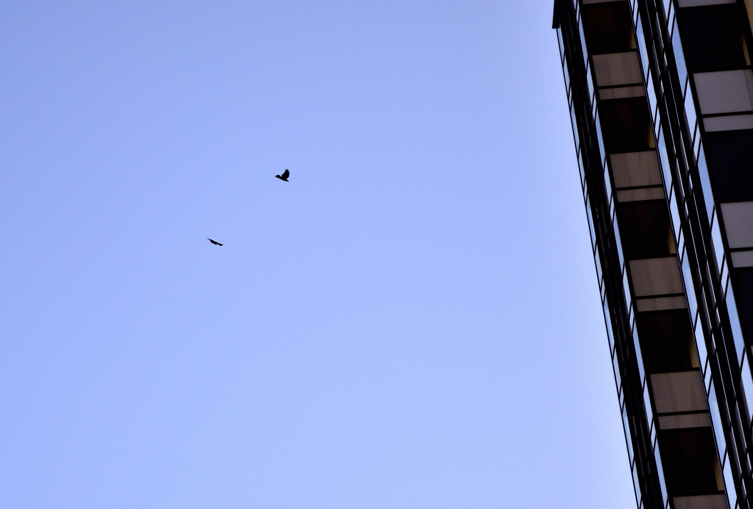 Фоточеллендж по уличной фотографии