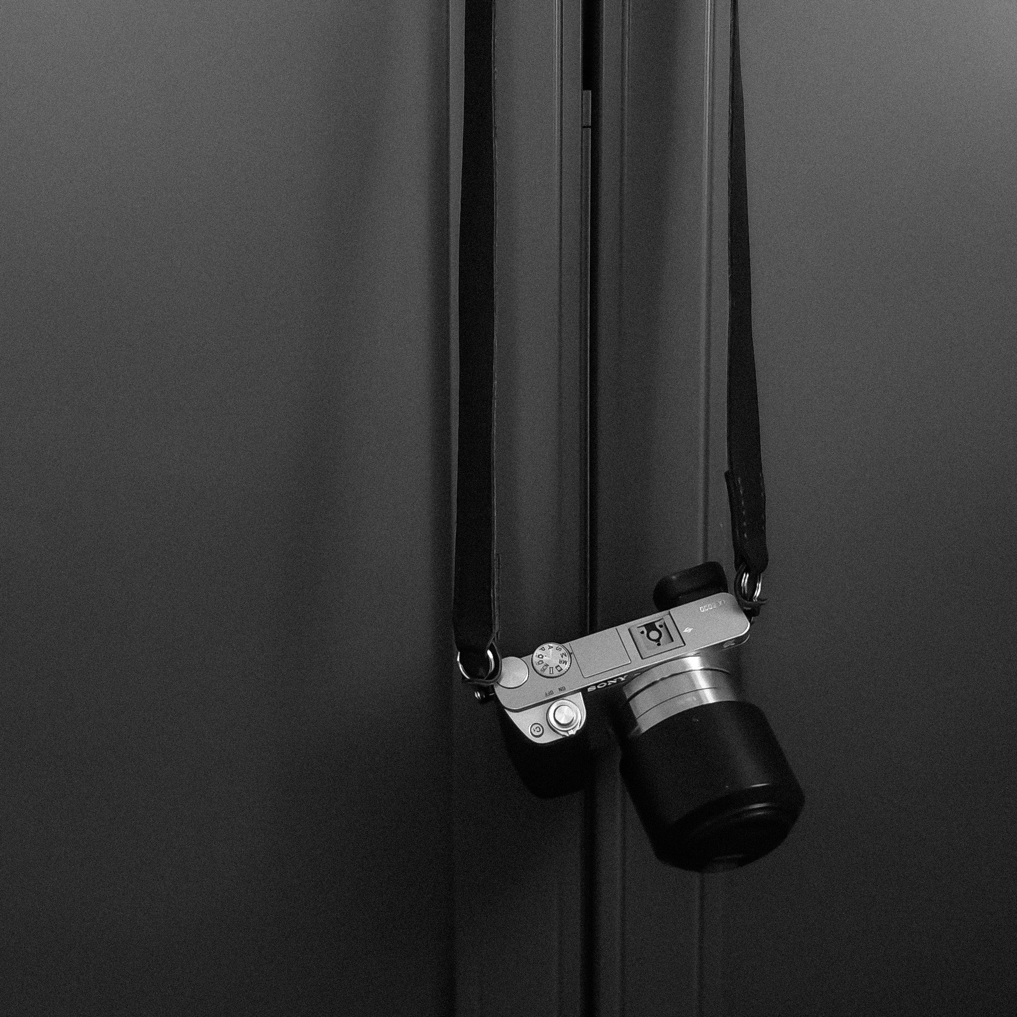 Контакты. Фотограф в Санкт-Петербурге, Григорьева Светлана: от портрета до предметной съёмки