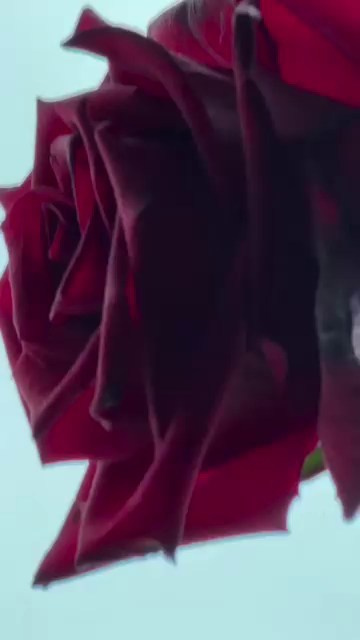 VIDEO | REELS. NATASHA FM photo / production / UGC