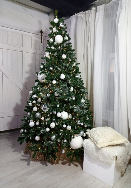 Фотосессия в городе Петропавловск-Камчатский. Фотограф Камчатка