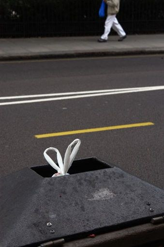 Композиция кадра. Семейный и свадебный фотограф в Майкопе Михаил Мартиросян