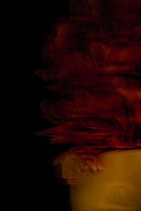 Цветы. Фотограф, фотохудожник г. Краснодар Оксана Зинченко