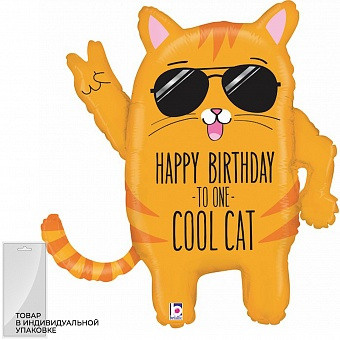 Для Него. Аэродизайнер Елена Лин