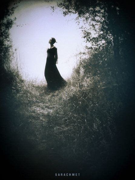 Композиция кадра. Семейный и свадебный фотограф в Майкопе Михаил Мартиросян