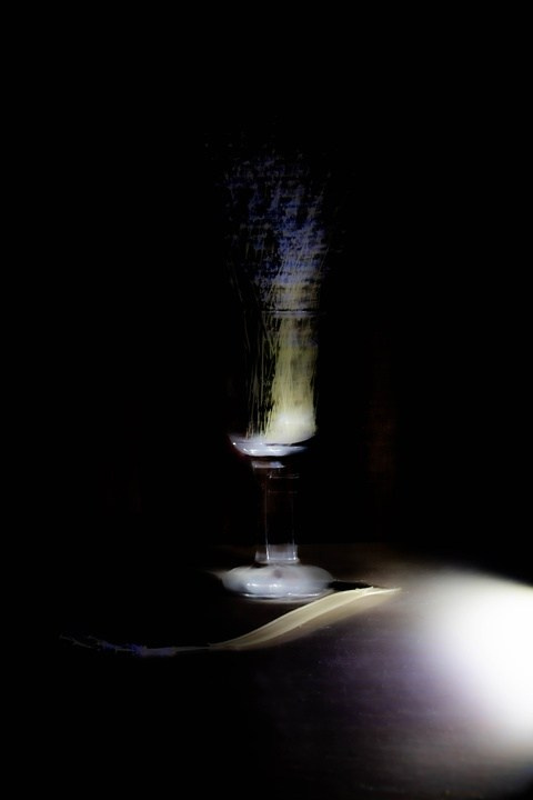 Цветы. Фотограф, фотохудожник г. Краснодар Оксана Зинченко