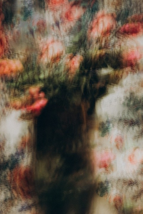 Цветы. Фотограф, фотохудожник г. Краснодар Оксана Зинченко