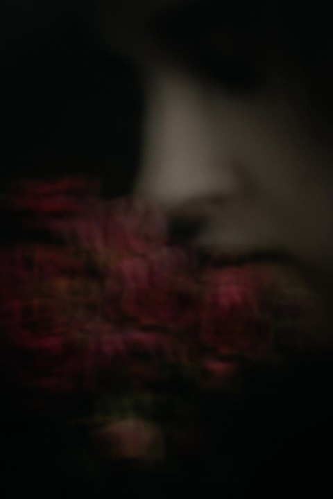 Цветы. Фотограф, фотохудожник г. Краснодар Оксана Зинченко