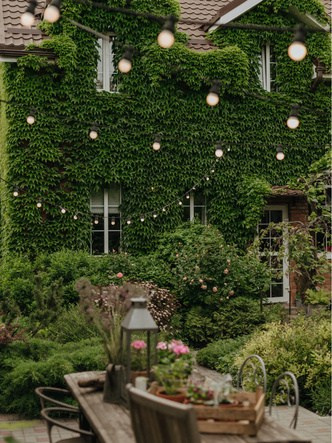 Теплица Власенко