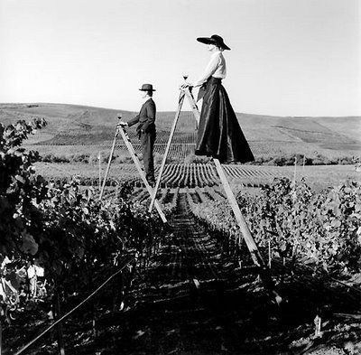 Композиция кадра. Семейный и свадебный фотограф в Майкопе Михаил Мартиросян