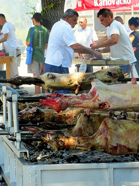 Хорватия: Стон, Трстено, Корчула — радости и гадости природы. Дарья Письменюк / Darya Leitstern — фотограф, музыкант, журналист, путешественник