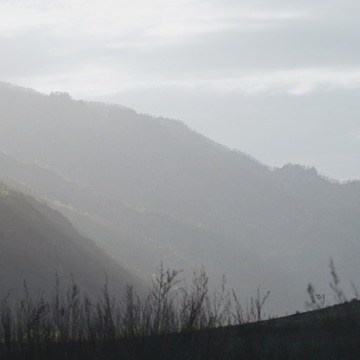 BUY ARTWORKS. Alyona Rubanova — Visual artist