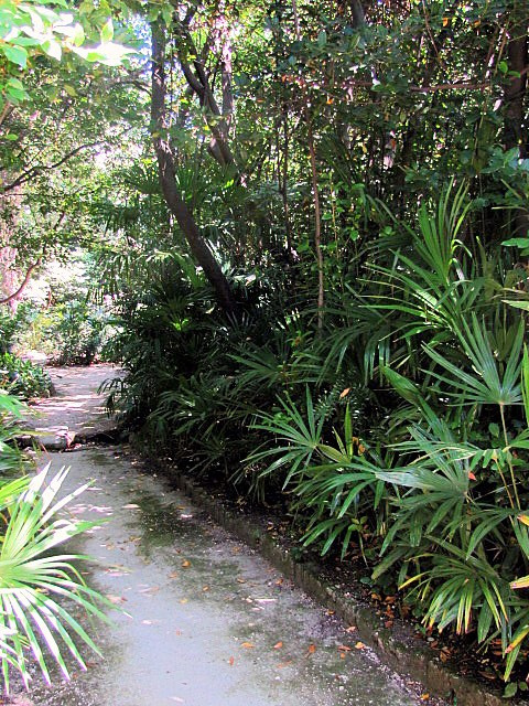 Хорватия: Стон, Трстено, Корчула — радости и гадости природы. Дарья Письменюк / Darya Leitstern — фотограф, музыкант, журналист, путешественник