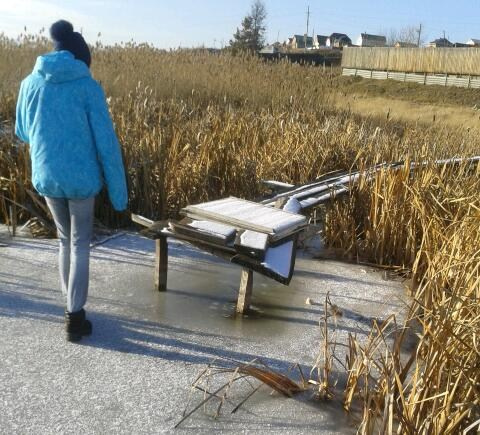 Ноябрь (Школа, ДР). Семейный, Свадебный фотограф СПБ Питер— Романова Екатерина
