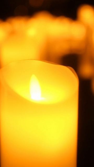 Проекты и мероприятия. Shumikhinnaa