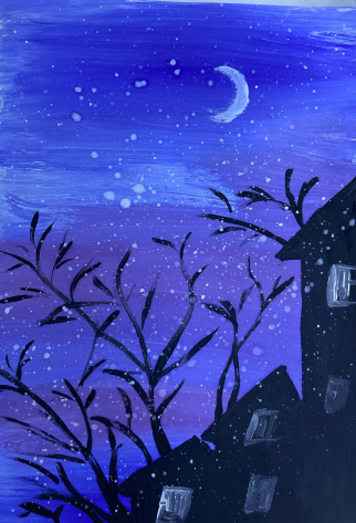 Епифанова Ксения. АНО «Центра социальных проектов «Путь в большой мир»