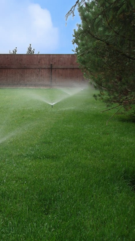 Устройство заборов Ленинградская область и Санкт-Петербург, заказать забор в Петербурге, устройство заборов в Петербурге, строители в Петербурге, сделать забор в Ленинградской области, сделать забор в Пушкине, заказать забор в Павловске, Заказать забор на дачу ЛО, строители ЛО, построить дом в петербурге, построить дом пушкин, строительная бригада в пушкине, построить дом в пушкине, построить дом в павловске, дом из газобетона в павловске, дом из газобетона в пушкине, строительство домов СПБ, укладка тротуарной плитки в Ленобласти, укладка тротуарной плитки в Пушкине, укладка тротуарной плитки в Петербурге, заказать тротуарную плитку на дачу, уложить тротуарную плитку, Ленобласть, Гатчинский район, Пушкин, Тосненский район, Павловск, благоустройство загородных участков в Ленинградской области, сделать дренаж на участок в павловске, сделать дренаж на участок в пушкине, сделать  ливневую канализацию на участок СПБ, сделать дренаж на участок в Ленобласти, сделать ливневую канализацию в Пушкине, сделать  ливневую канализацию на участок в Петербурге, сделать дренаж на участок в павловске, сделать автополив участка в пушкине, сделать автополив участка в СПБ, сделать автополив участка в Ленобласти, автополив участка в Пушкине, автополив участка в Петербурге