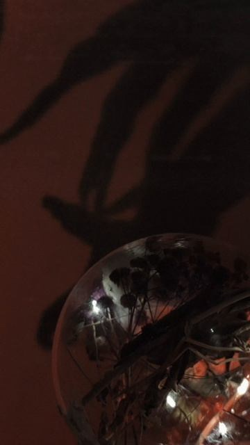 Short video. Sveti Sveta • визуальный артист Светлана Дубских