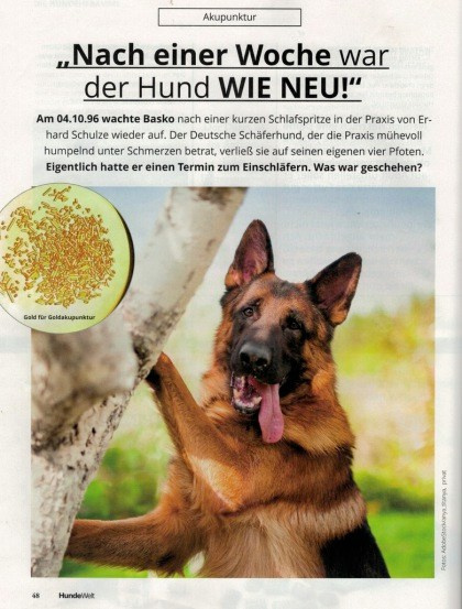 О фотографе TitAnya. Фотограф собак, фотограф-анималист Аня Титова (Titanya). Москва