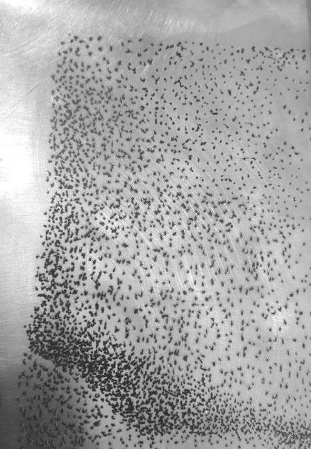 Видеоинсталляция Место Пробела. Художественная группа «Нежные Бабы»