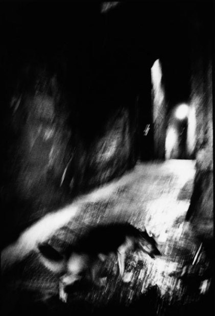 фотография Микаэля Акермана с размытыми фигурами людей