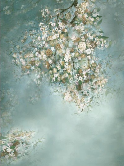 Фоны. School Photographer In Astana Tabakova Natalya