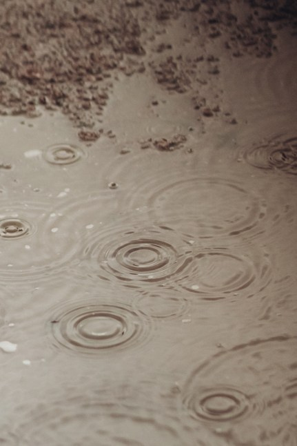 В усадьбе «Кусково». Семейный и детский фотограф |Брянск| Анастасия Перепелкина