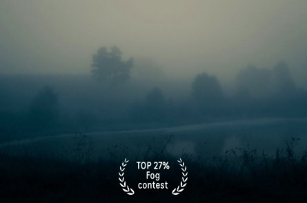 Конкурсы. Фотограф в Москве Лера Юдина