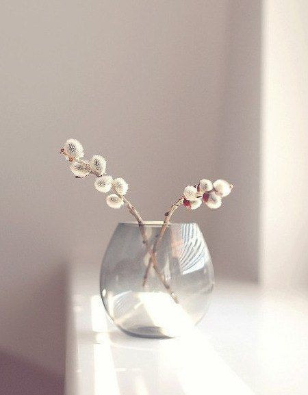 Предметка. Клусова Татьяна фотограф Тольятти