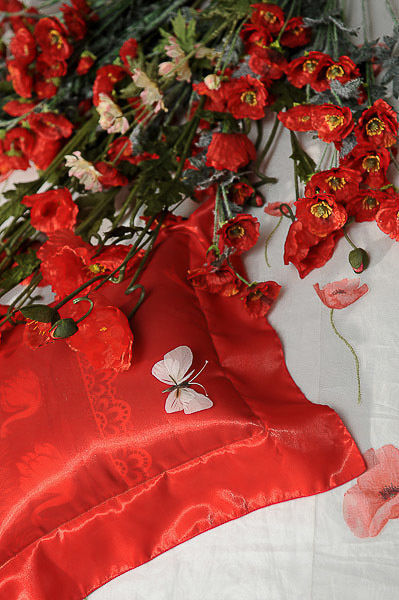 Архив 2006 - 2018. Max Matvich and Victoria Basova are professionals in their field