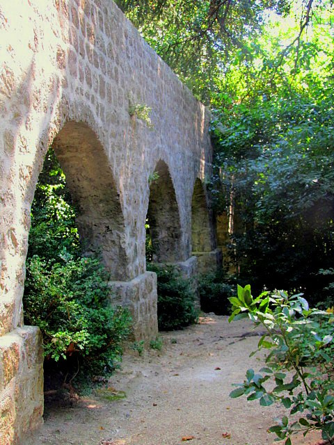 Хорватия: Стон, Трстено, Корчула — радости и гадости природы. Дарья Письменюк / Darya Leitstern — фотограф, музыкант, журналист, путешественник