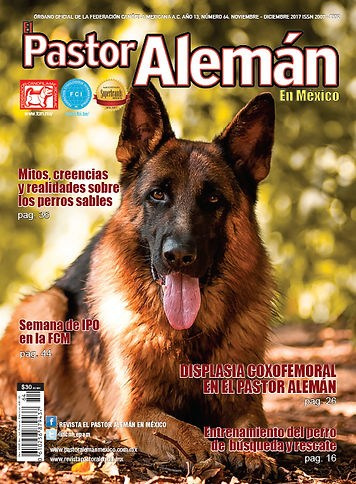 О фотографе TitAnya. Фотограф собак, фотограф-анималист Аня Титова (Titanya). Москва