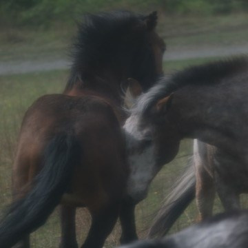 BUY ARTWORKS. Alyona Rubanova — Visual artist