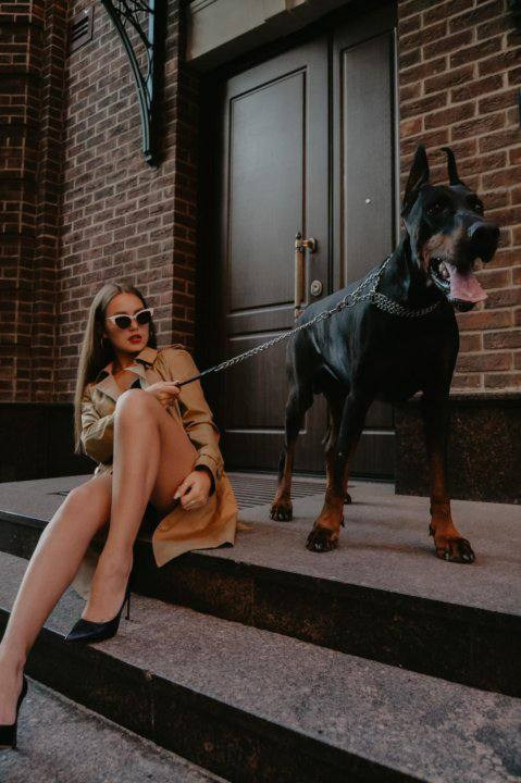 ФОТОПРОЕКТ Доберман-сессия. Свадебный и семейный фотограф в Рязани Датская Ксения