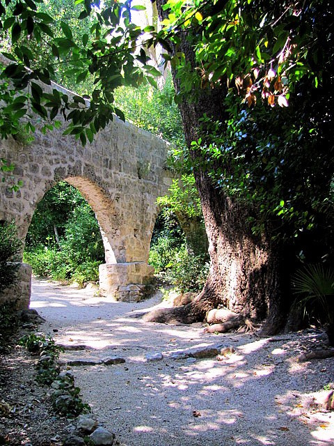 Хорватия: Стон, Трстено, Корчула — радости и гадости природы. Дарья Письменюк / Darya Leitstern — фотограф, музыкант, журналист, путешественник