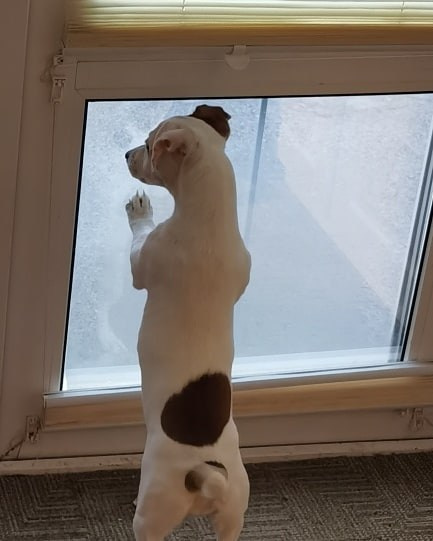 Anka`s Instagram. Заставка