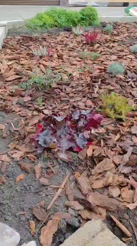 Участок Сергея и Светланы. Дизайн интерьера, мебели и ландшафта на КМВ | OXY Design