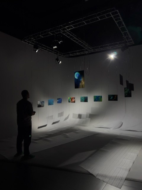 EXHIBITIONS. OLGA NEFF. Artist. Visual, Music, Poesy