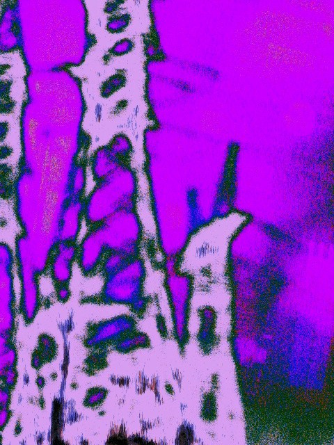 Urban View. Glitch Artist Dmitriy Fayvilovich