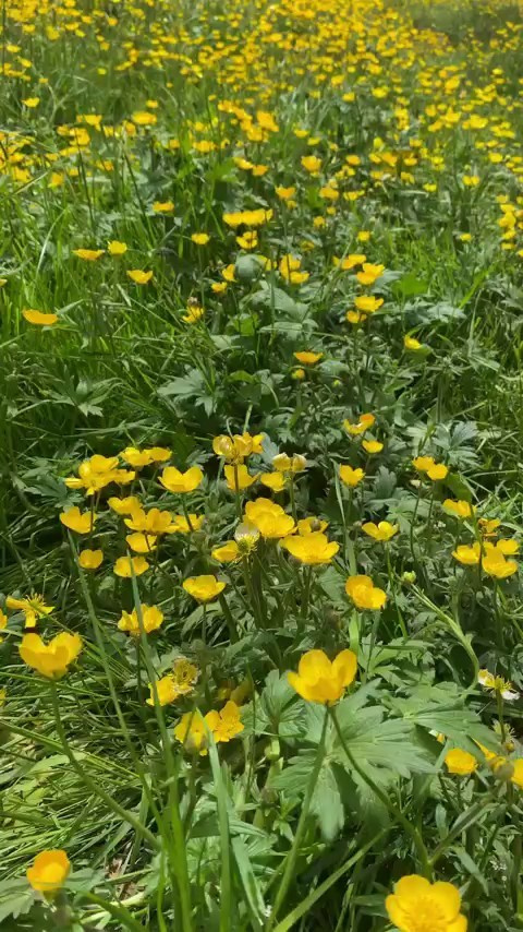 Джилы-Су. Семейный фотограф Пятигорск, Кисловодск, Эльбрус. Марина Вяликова